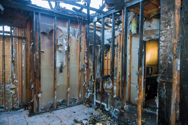 Professional Fire Damage Repair technician working in Dove Valley, CO